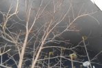 2025 fire 002.JPG