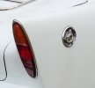 mmexport1783051102349.jpg